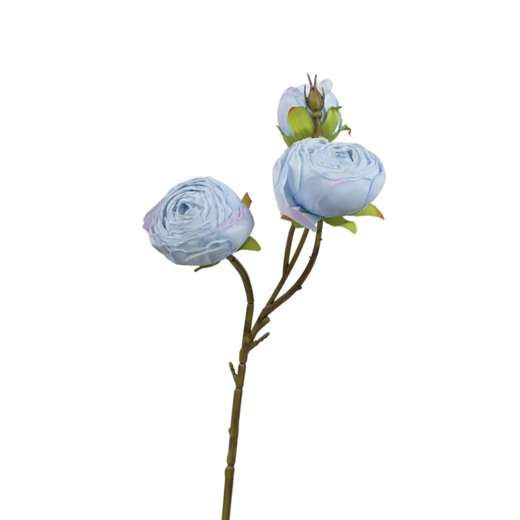 Pełnik 40 cm