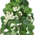 Sztuczny zwis pelargonii w kolorze białym 110 cm