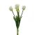 Tulipan 47 cm