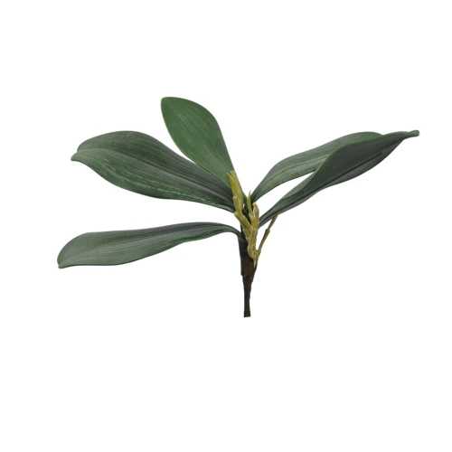 Sztuczny liść do storczyka w kolorze zielonym 24 cm