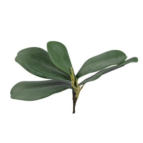 Sztuczny liść do storczyka w kolorze zielonym 24 cm