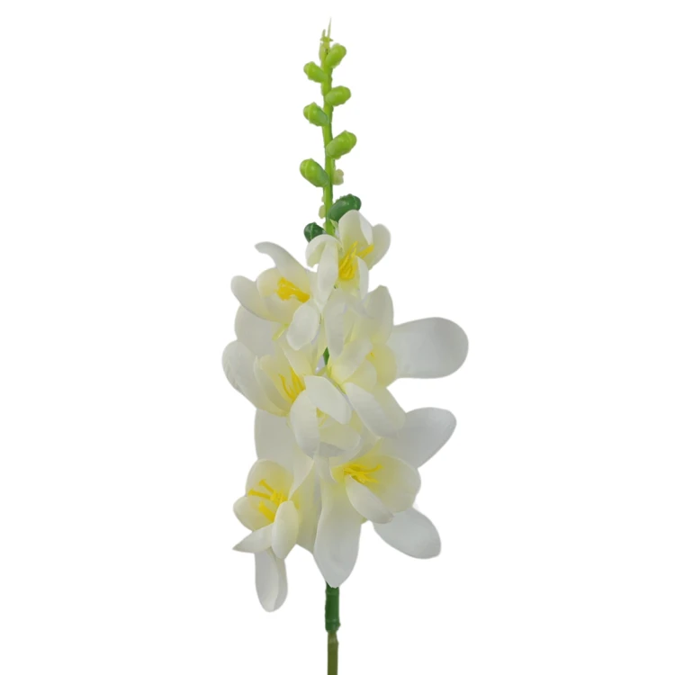 Frezja 57 cm