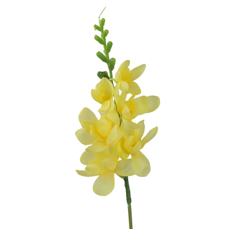 Frezja 57 cm