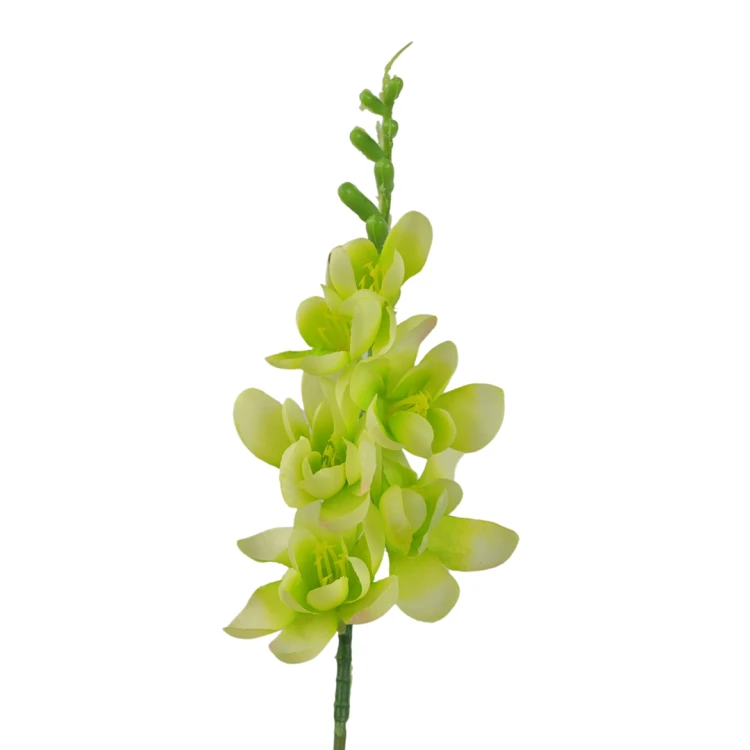 Frezja 57 cm