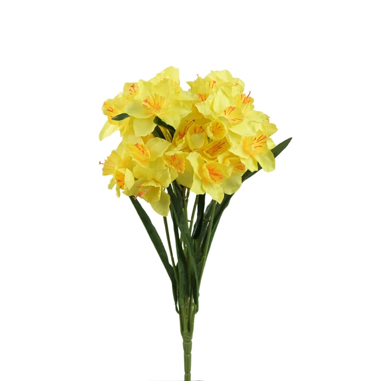 Bukiet żonkil 50 cm