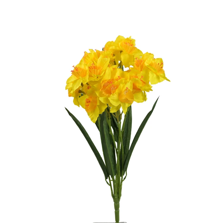 Bukiet żonkil 50 cm