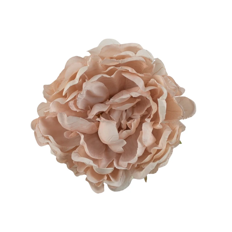 Głowa piwonii 18 cm