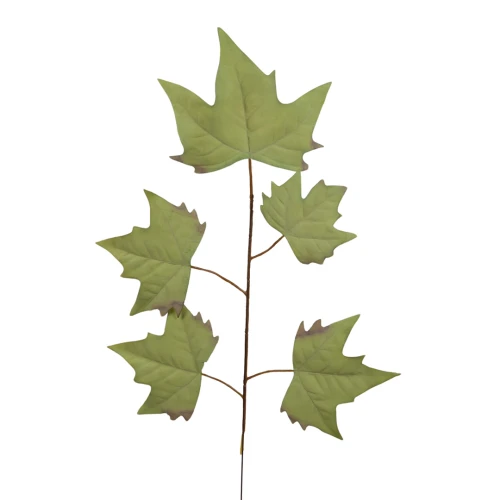 Sztuczny liść klonu w kolorze jasno zielonym 55 cm