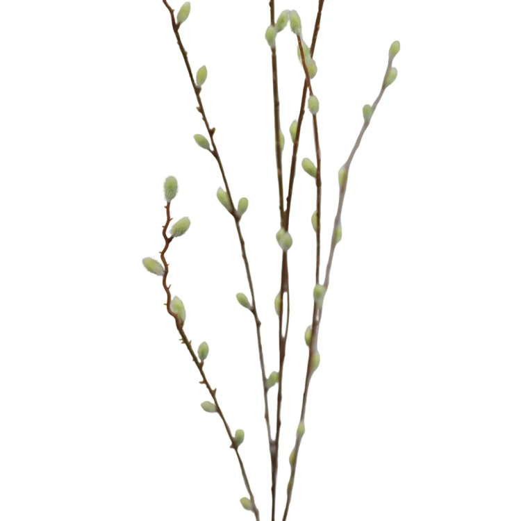 Sztuczna gałązka bazi w kolorze biało/zielonym 110 cm