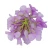 Kwiat sztuczny głowa hortensji w kolorze fioletowo/różowym 18 cm