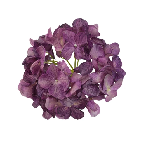 Kwiat sztuczny głowa hortensji w kolorze ciemno fioletowym 18 cm