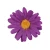 Sztuczna główka margaretki w kolorze fioletowym 6 cm