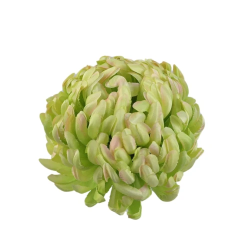 Sztuczna chryzantema czesana w kolorze jasno zielonym 14 cm