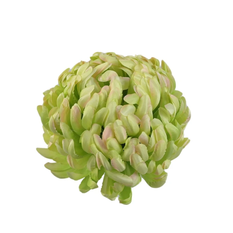 Sztuczna chryzantema czesana w kolorze jasno zielonym 14 cm