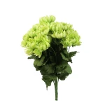 Sztuczny bukiet chryzantemy x17 mix 2 w kolorze zielonym 44 cm