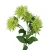 Sztuczny pojedynczy aster w kolorze zielonym 70 cm