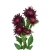 Sztuczny pojedynczy aster w kolorze bordowym 70 cm