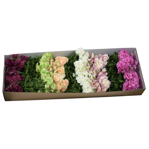 Karton bukietu goździków mix kolorów 40 cm