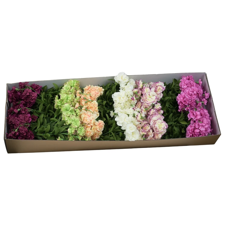 Karton bukietu goździków mix kolorów 40 cm