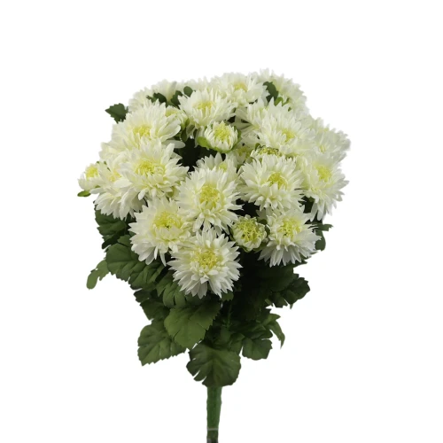 Sztuczny bukiet astrów mix 3 w kolorze białym 40 cm