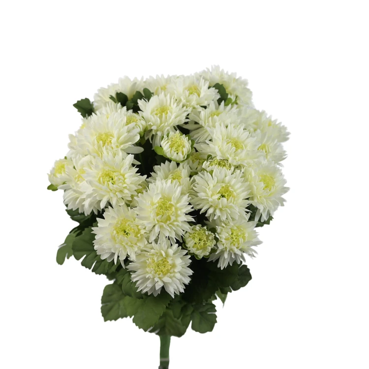 Sztuczny bukiet astrów mix 3 w kolorze białym 40 cm