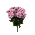 Sztuczny bukiet astrów mix 3 w kolorze różowym 40 cm