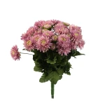 Sztuczny bukiet astrów mix 5 w kolorze brudnym fiolecie 40 cm