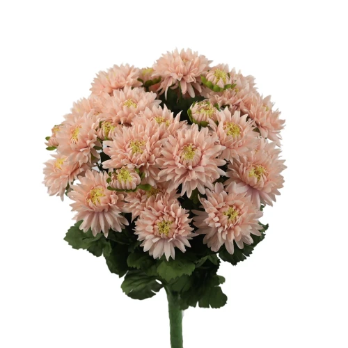 Sztuczny bukiet astrów mix 5 w kolorze orzecha laskowego 40 cm