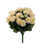 Sztuczny bukiet astrów mix 5 w kolorze chałwy 40 cm