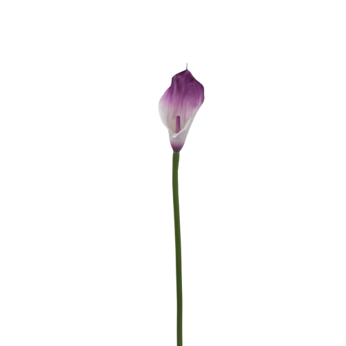 Sztuczny kwiat kalii gumowy w kolorze lawendowym 70 cm