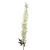 Sztuczna wisteria w kolorze kremowym 120 cm
