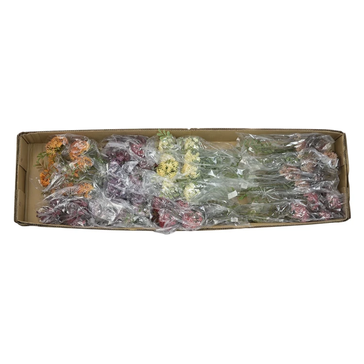 Karton gałązek czosnku mix kolorów 60 cm