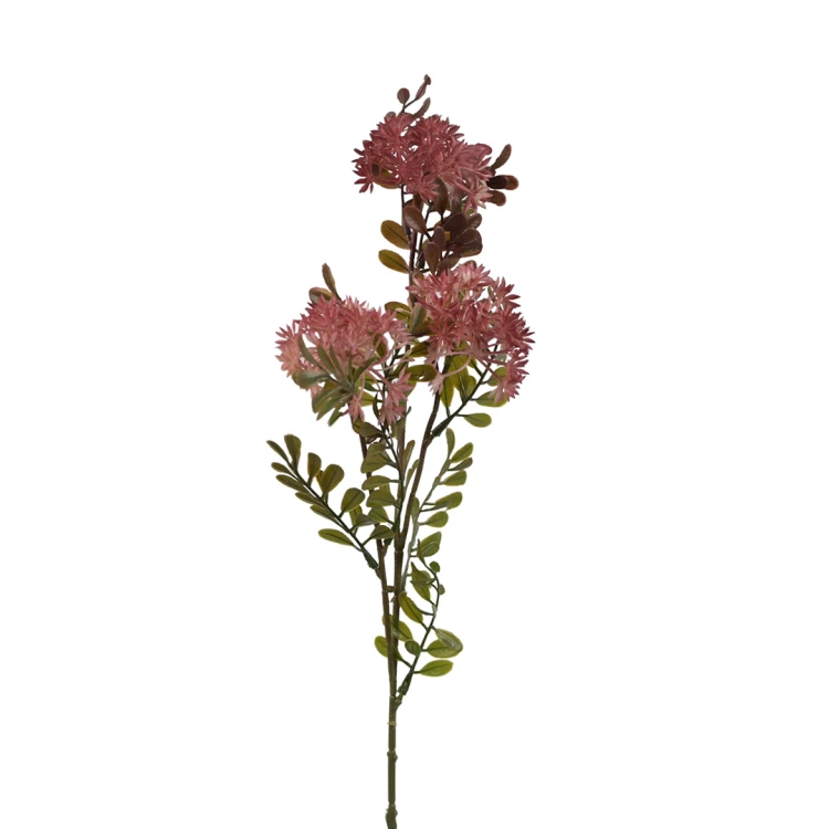 Gałązka czosnku 60 cm