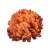 Sztuczna chryzantema ananas w kolorze pomarańczowo podpalanym 14 cm