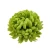 Sztuczna chryzantema ananas w kolorze zielonym 14 cm
