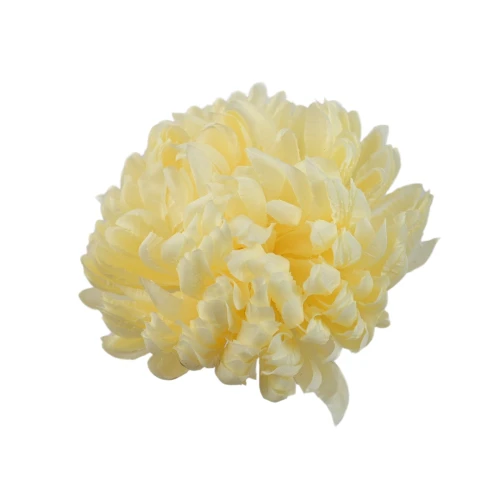 Sztuczna chryzantema ananas w kolorze budyniowym 14 cm