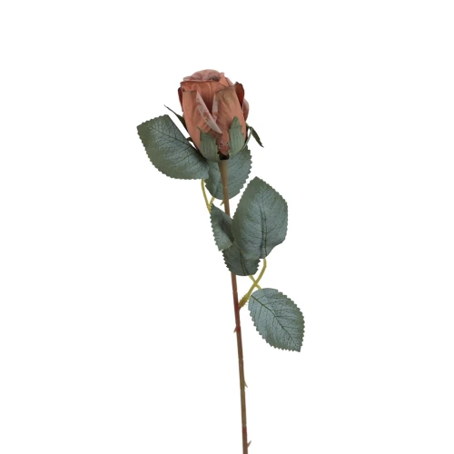 Róża pojedyncza 50 cm