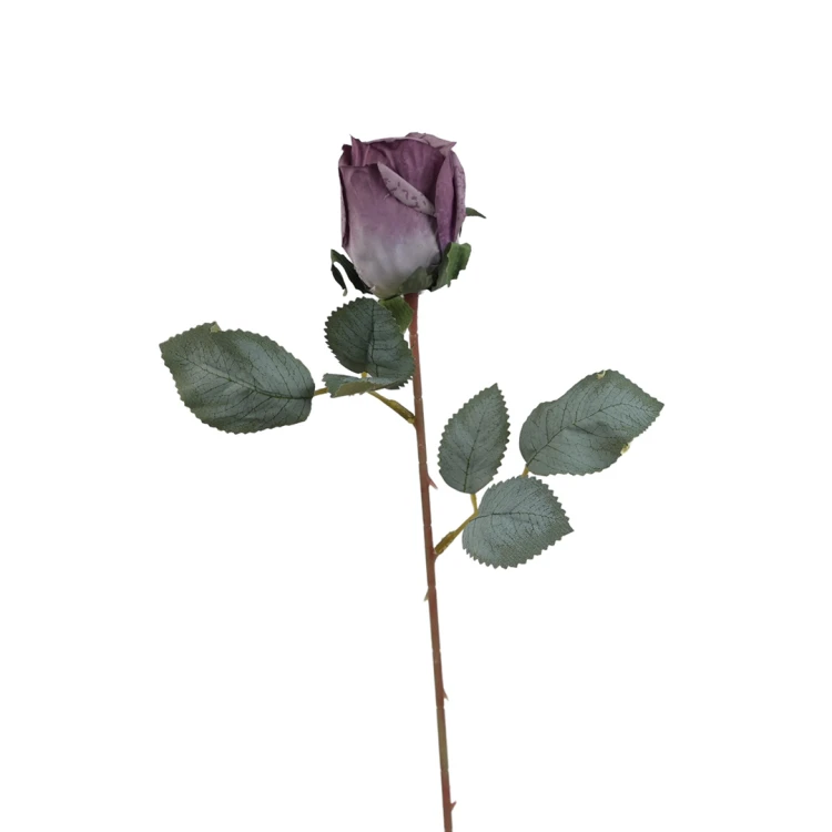 Róża pojedyncza 50 cm