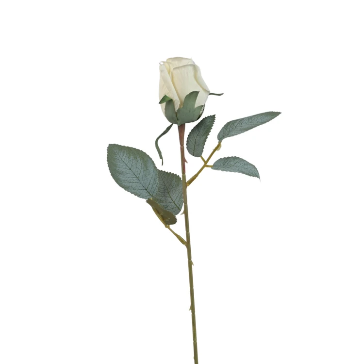 Róża pojedyncza 50 cm