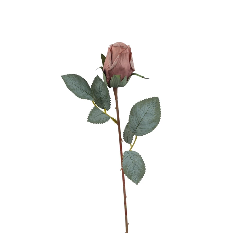 Róża pojedyncza 50 cm