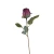 Róża pojedyncza 50 cm