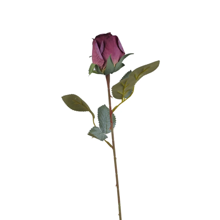 Róża pojedyncza 50 cm