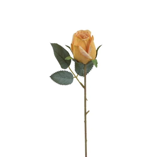 Róża pojedyncza 50 cm