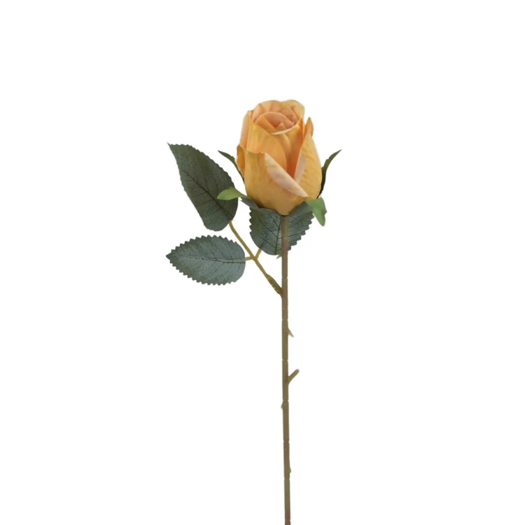 Róża pojedyncza 50 cm