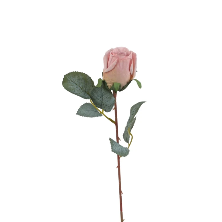 Róża pojedyncza 50 cm