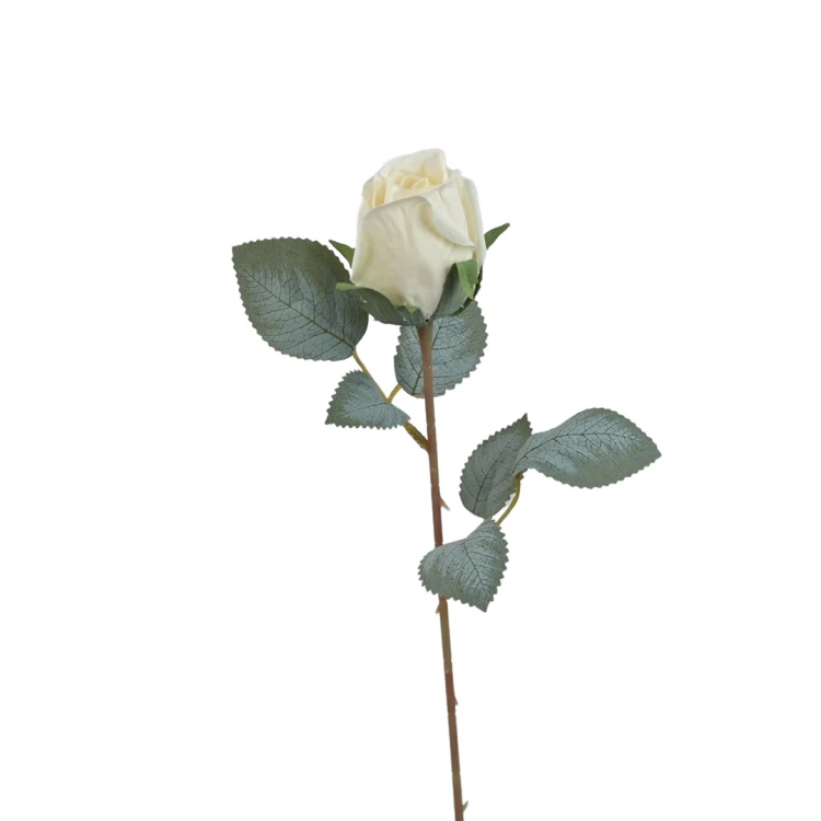 Róża pojedyncza 50 cm