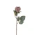 Róża pojedyncza 50 cm