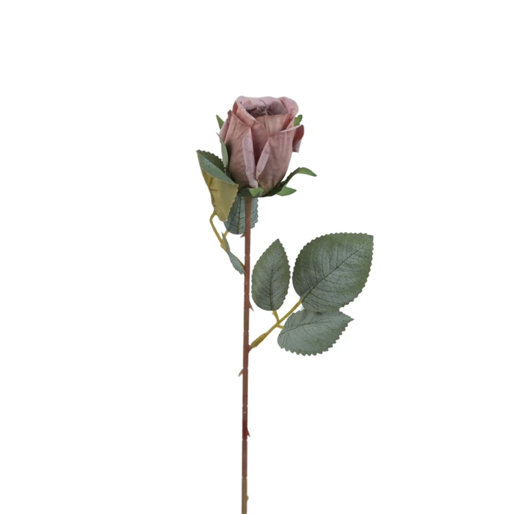 Róża pojedyncza 50 cm