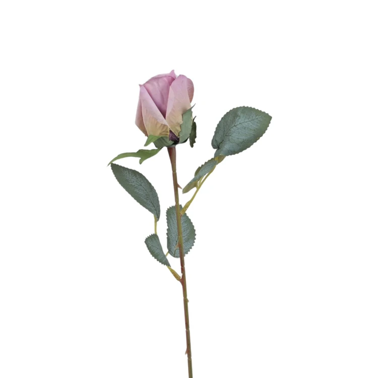 Róża pojedyncza 50 cm