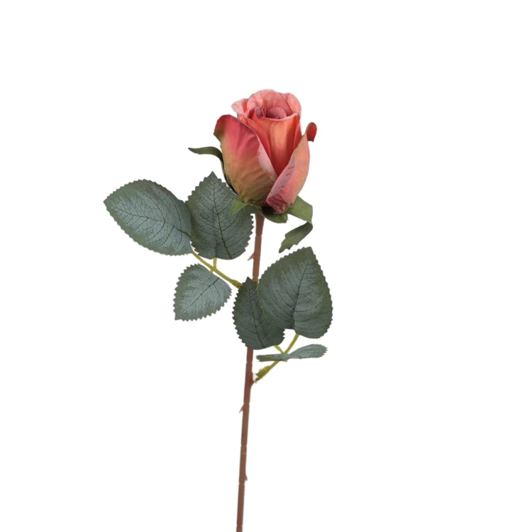 Róża pojedyncza 50 cm